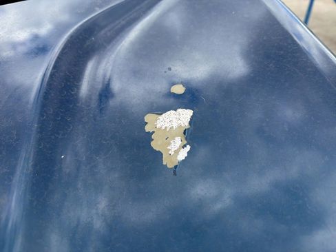 Used 2021 Chevrolet Equinox LT w/ LPO, Cargo Package image 5