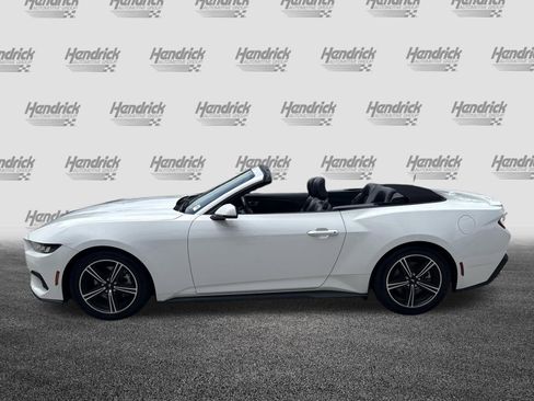 Used 2024 Ford Mustang Premium RWD image 6