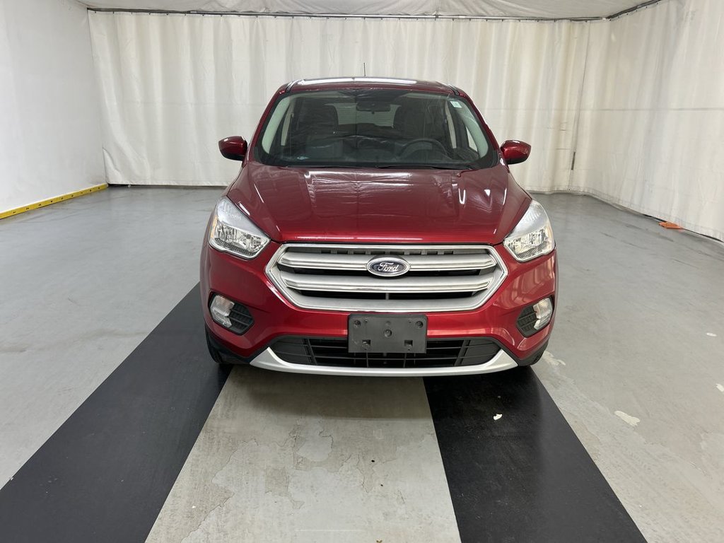 Used 2019 Ford Escape SE AWD/4WD image 3