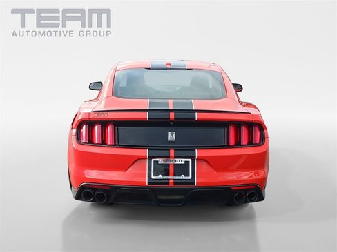 Used 2016 Ford Mustang Shelby GT350 w/ Technology Package image 6