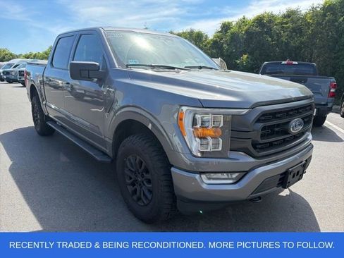 Used 2023 Ford F150 XLT w/ Equipment Group 302A High AWD/4WD image 1