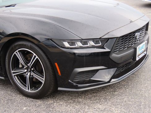 Certified 2024 Ford Mustang Premium image 6