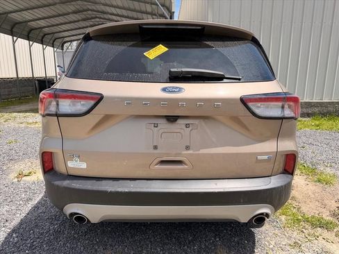 Used 2020 Ford Escape SE AWD/4WD image 24