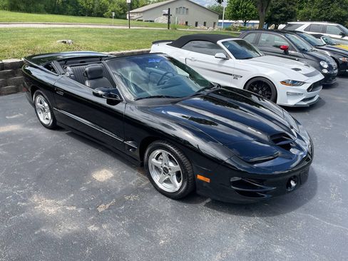 Used 1999 Pontiac Firebird Trans Am RWD image 77