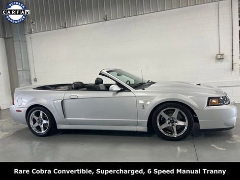Used 2004 Ford Mustang Cobra RWD image 9