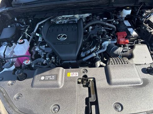 Certified 2026 Lexus NX 350 AWD w/ Cold Area Package image 11
