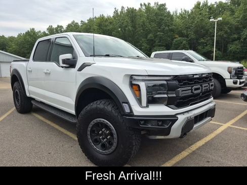 Used 2024 Ford F150 Raptor AWD/4WD image 1