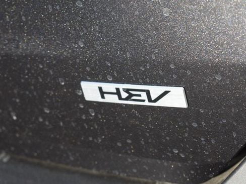 New 2026 Kia Carnival EX image 16