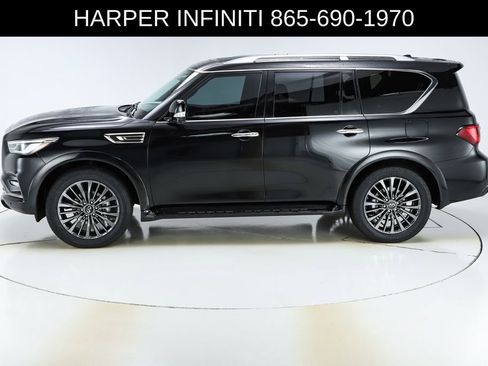 Used 2024 INFINITI QX80 Sensory image 2