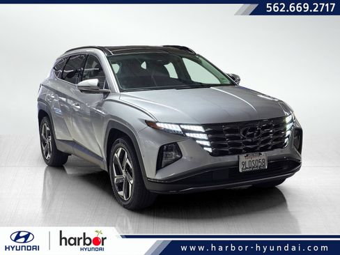 Used 2024 Hyundai Tucson Limited AWD/4WD image 1