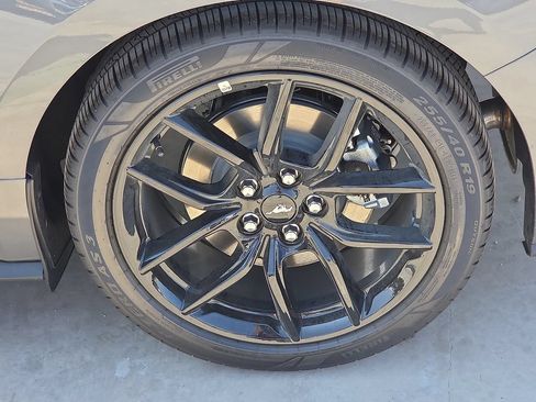 New 2026 Ford Mustang Coupe w/ Mustang Nite Pony Package RWD image 16