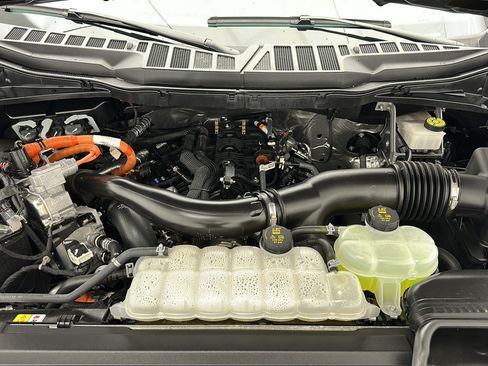 Used 2024 Ford F150 XLT w/ Equipment Group 303A High AWD/4WD image 32