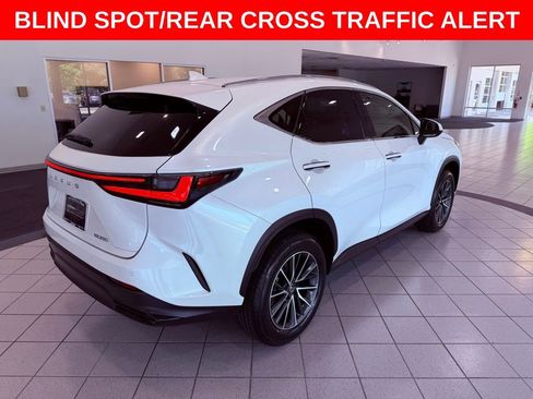 Used 2025 Lexus NX 250 FWD w/ Cold Area Package image 8