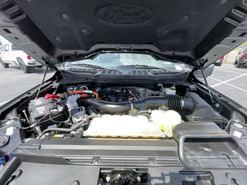 Used 2024 Ford F150 XLT w/ Equipment Group 302A MID AWD/4WD image 29