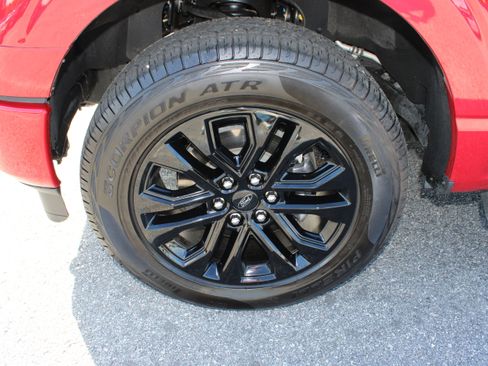 Used 2025 Ford F150 XLT w/ Equipment Group 303A High AWD/4WD image 11