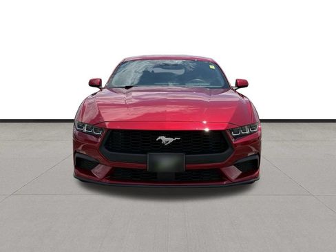 Used 2024 Ford Mustang Coupe RWD image 2