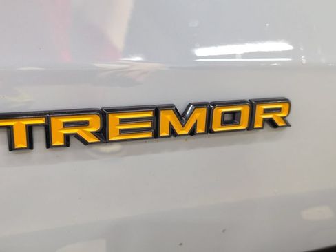 Used 2025 Ford Expedition Tremor AWD/4WD image 35