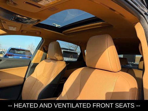 Used 2024 Lexus NX 350 AWD w/ Cold Area Package image 7