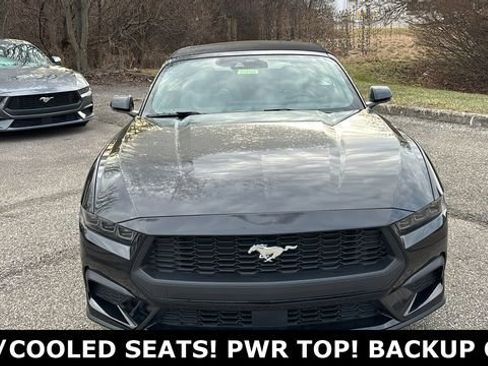New 2026 Ford Mustang Premium RWD image 6