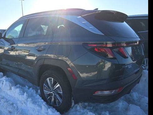 Used 2024 Hyundai Tucson Blue image 2