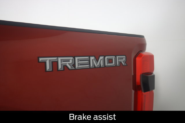 Certified 2025 Ford F250 Platinum w/ Tremor Off-Road Package AWD/4WD image 28