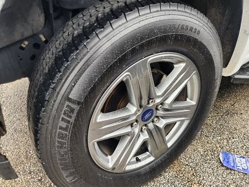 Used 2019 Ford F150 XLT w/ Equipment Group 302A Luxury AWD/4WD image 10