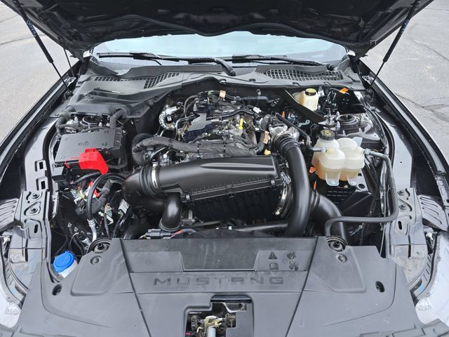 Certified 2024 Ford Mustang Premium RWD image 25