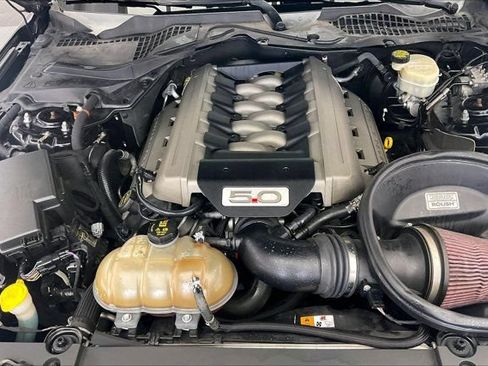 Used 2016 Ford Mustang GT Premium w/ Equipment Group 401A RWD image 9