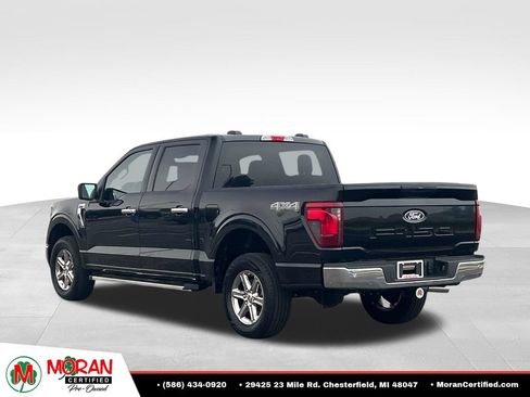 Used 2025 Ford F150 XLT w/ Equipment Group 301A Standard AWD/4WD image 4