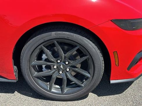 New 2026 Ford Mustang Coupe w/ Mustang Nite Pony Package RWD image 9