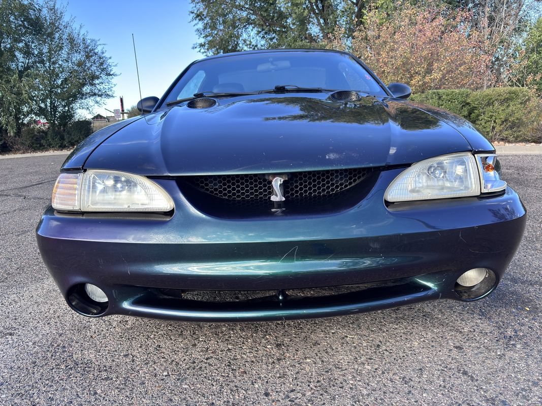 Used 1996 Ford Mustang Cobra RWD image 2