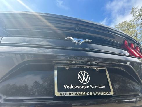 Used 2022 Ford Mustang Coupe w/ Equipment Group 101A image 41