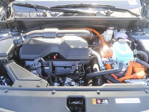 New 2026 Kia Sportage X-Line Prestige image 12