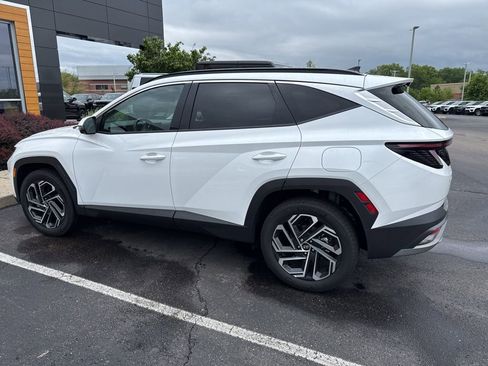 Used 2025 Hyundai Tucson Limited AWD/4WD image 5