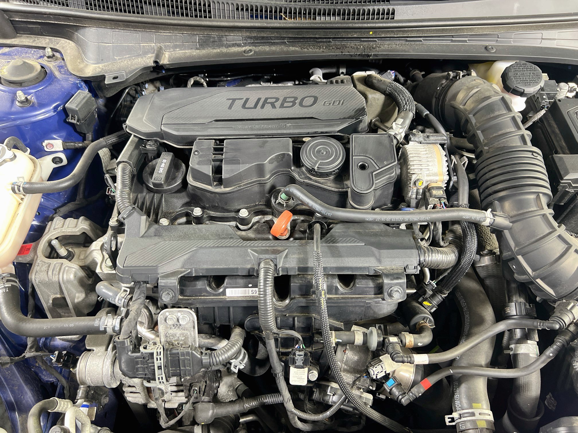 Used 2023 Hyundai Elantra N Line FWD image 30