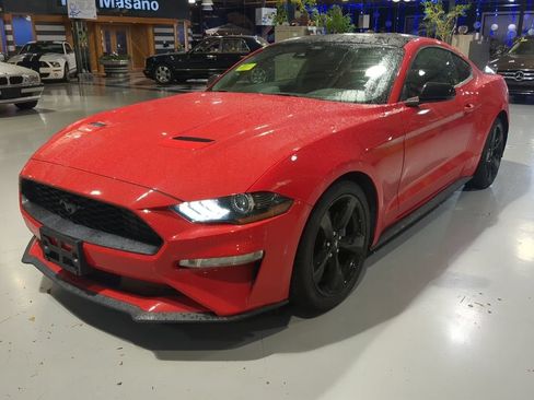Used 2021 Ford Mustang Coupe w/ Equipment Group 101A RWD image 1