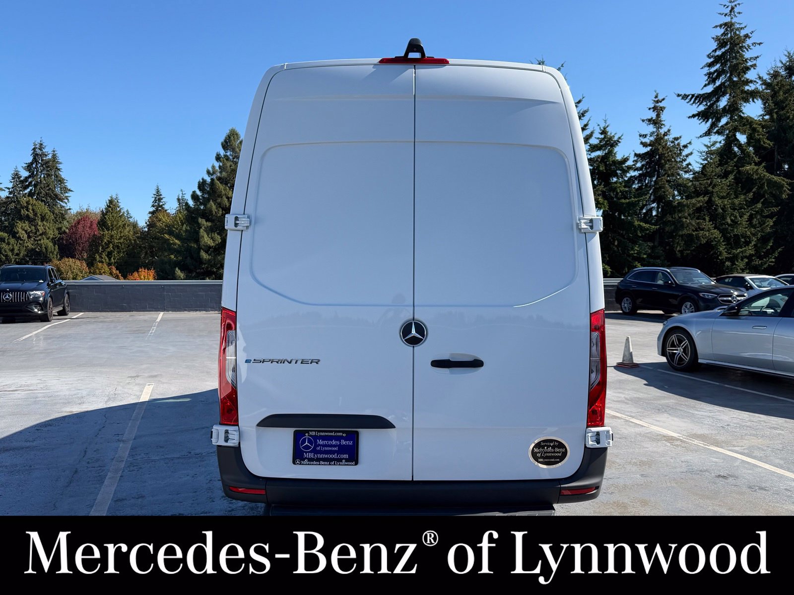 New 2025 Mercedes-Benz eSprinter 170 Cargo image 7