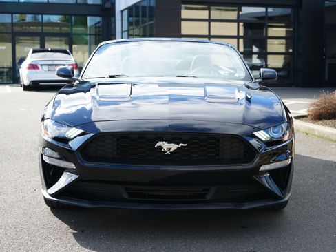 Used 2019 Ford Mustang Convertible w/ Ecoboost Performance Package image 14