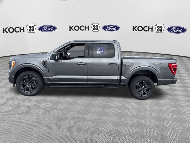 Used 2023 Ford F150 XLT w/ Equipment Group 302A High AWD/4WD image 4