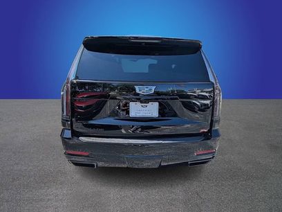 Certified 2025 Cadillac Escalade Sport Platinum w/ LPO, ONYX Package