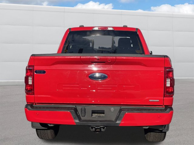 Used 2023 Ford F150 XLT w/ Equipment Group 302A High AWD/4WD image 4
