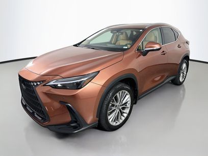 Certified 2025 Lexus NX 350h AWD w/ Cold Area Package
