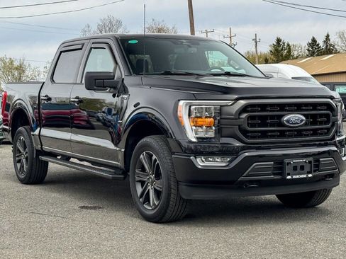 Used 2023 Ford F150 XLT w/ Equipment Group 302A High AWD/4WD image 1