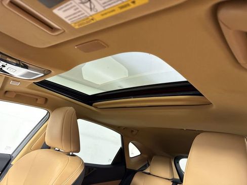 Certified 2025 Lexus NX 350 350 Base w/ Cold Area Package image 21