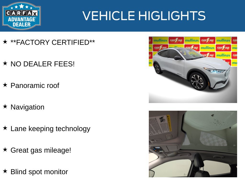 Used 2023 Ford Mustang Mach-E Premium RWD image 10