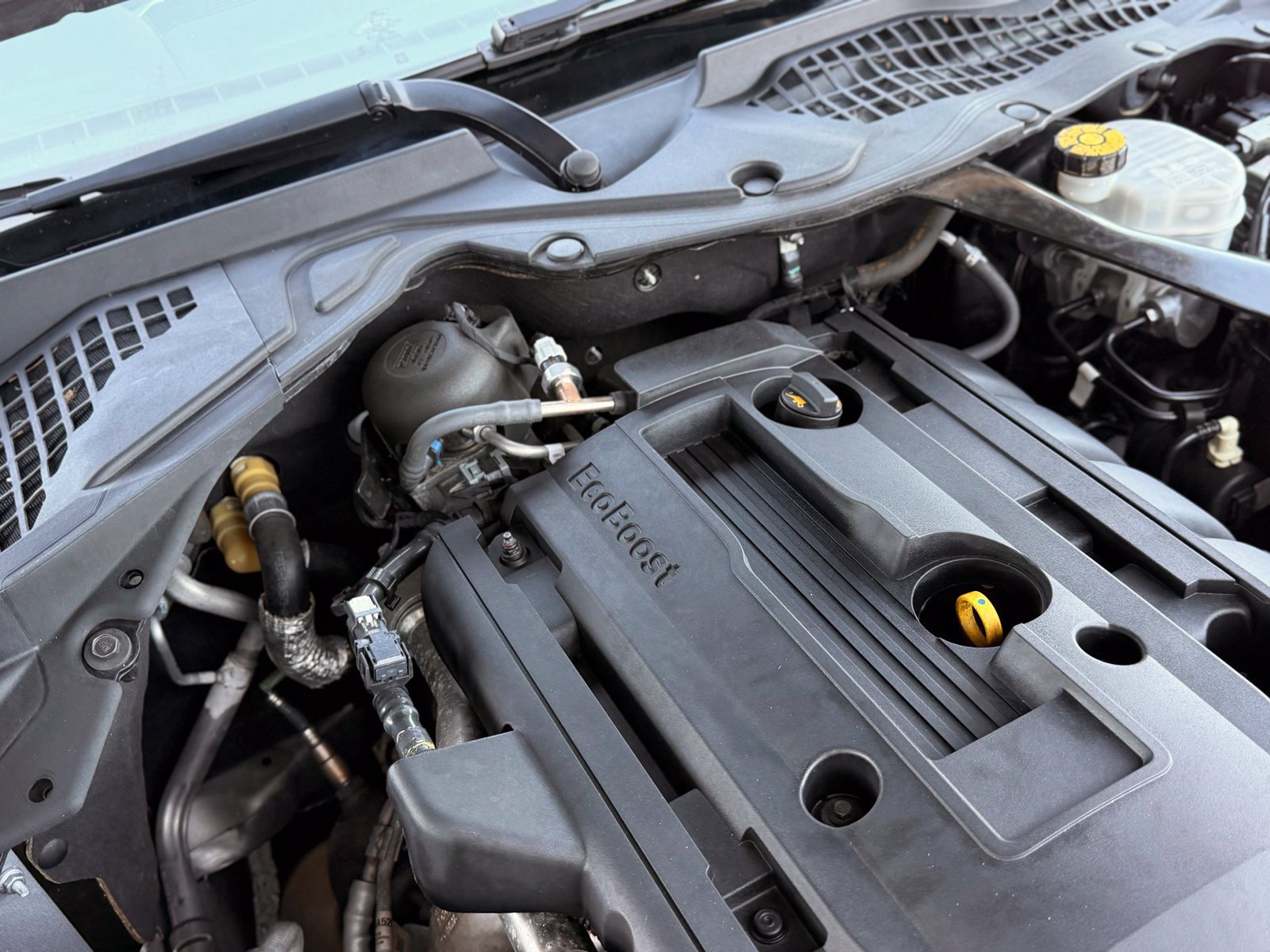 Used 2020 Ford Mustang Premium RWD image 50