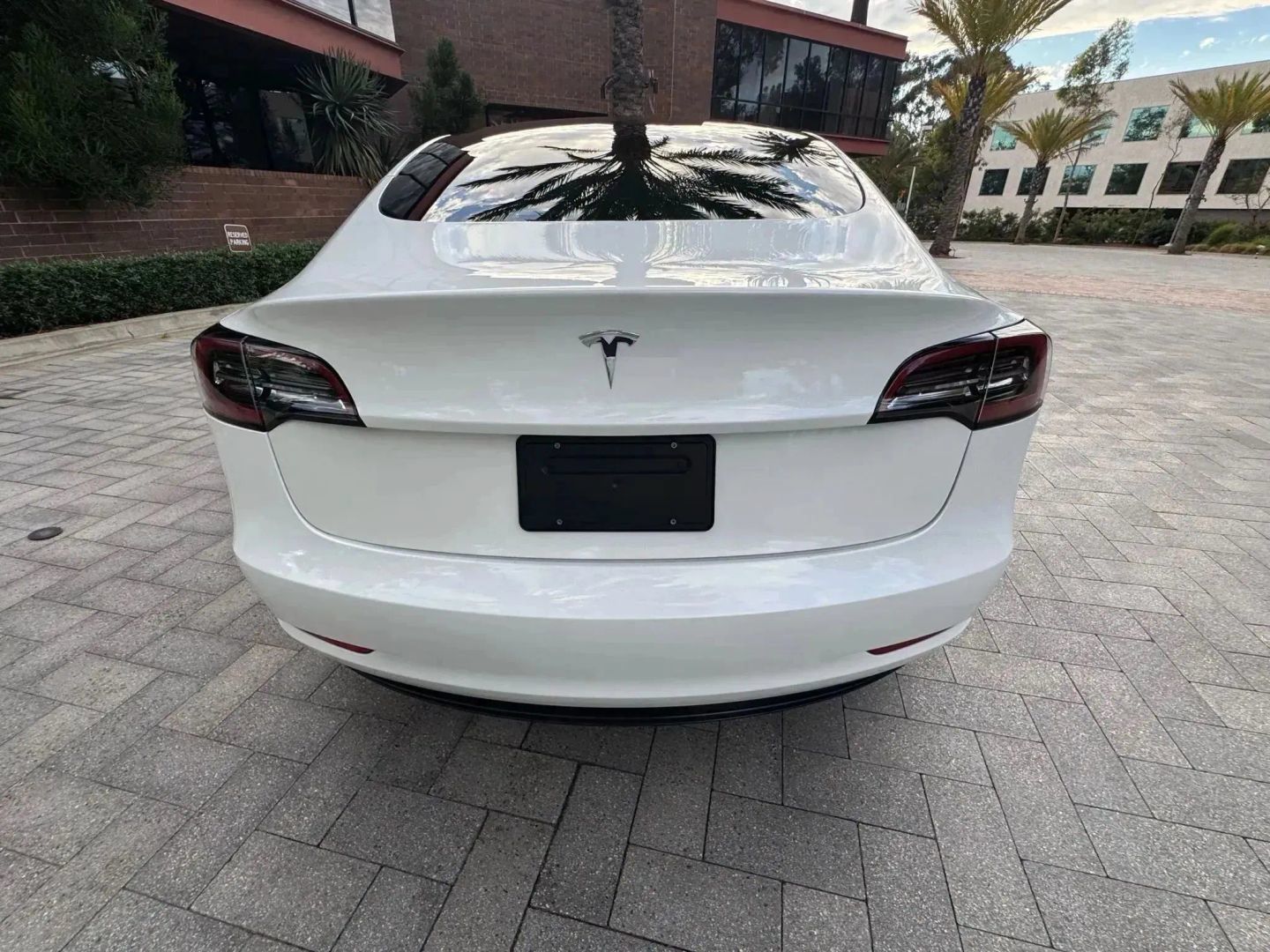 Used 2023 Tesla Model 3 Standard Range RWD image 7