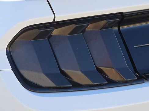 Used 2019 Ford Mustang Premium w/ Equipment Group 201A image 10