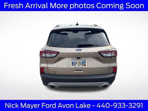 Used 2020 Ford Escape Titanium image 5