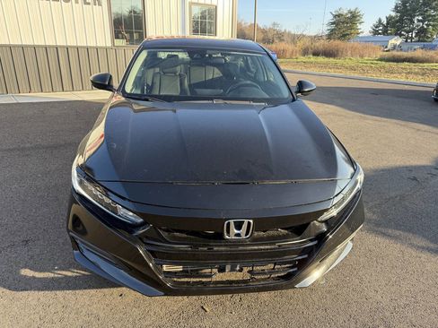Used 2019 Honda Accord LX image 3